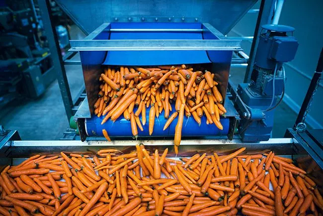 inocuidad alimentaria